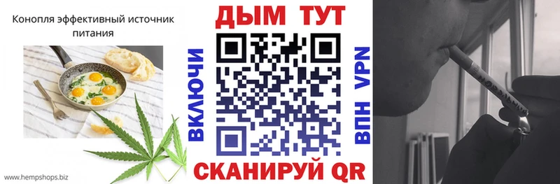 kraken ТОР  Кызыл  Cannafood конопля 