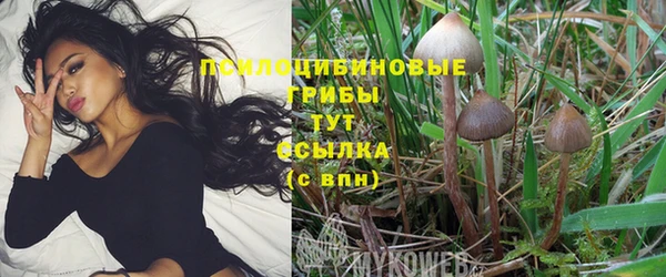 MDMA Горнозаводск